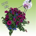 Afbeelding van Hp27 multi mix fashionista new